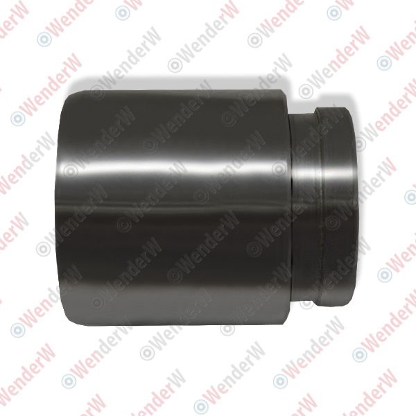 Поршень заднего тормозного суппорта mitsubishi lancer/lancer classic (00-11), outlander (03-12) - WENDERW WECE011