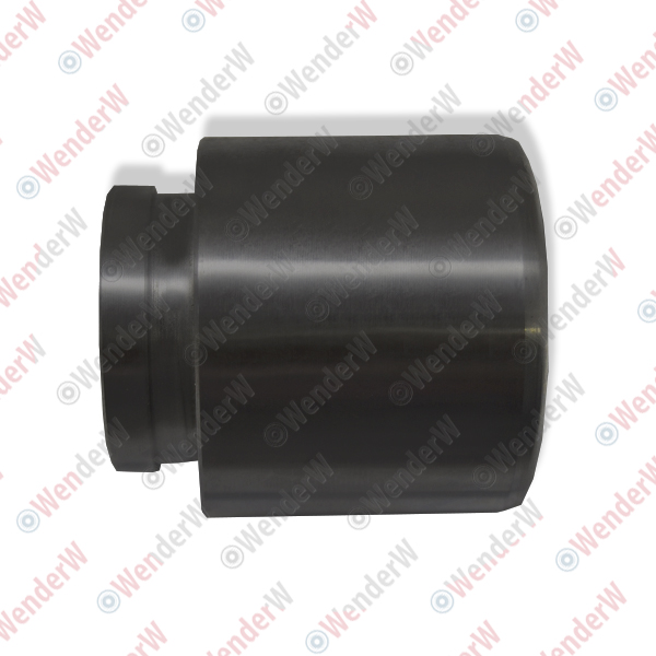 Поршень переднего тормозного суппорта mitsubishi l200 (96-07), lancer/lancer classic (00-11) - WENDERW WECE015