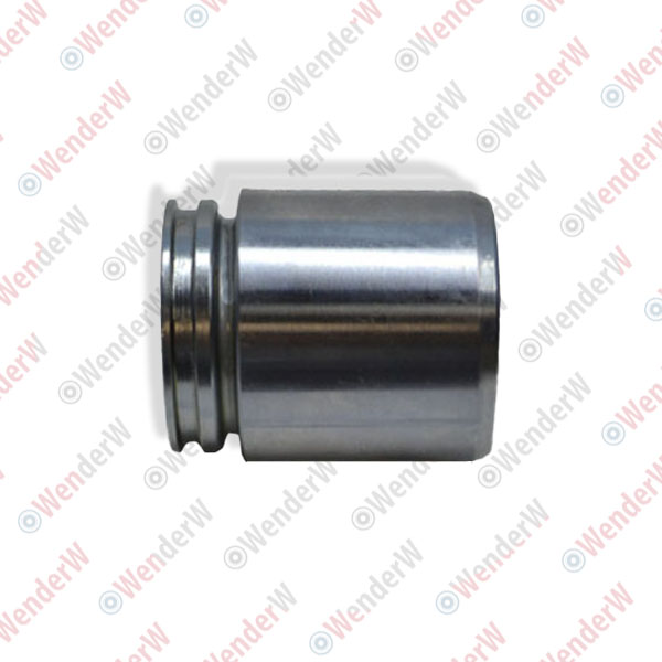 Поршень суппорта тормозного citroen c5 (08-...) - WENDERW WE003PC