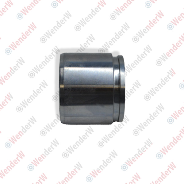 Поршень суппорта тормозного hyundai i10 (07-…), i20 (10-…) - WENDERW WE009PC