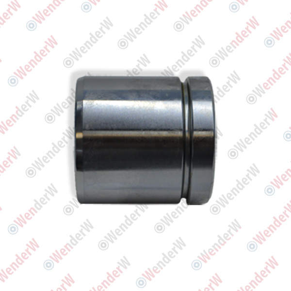 Поршень суппорта тормозного renault megane ii (02-09) - WENDERW WE007PC