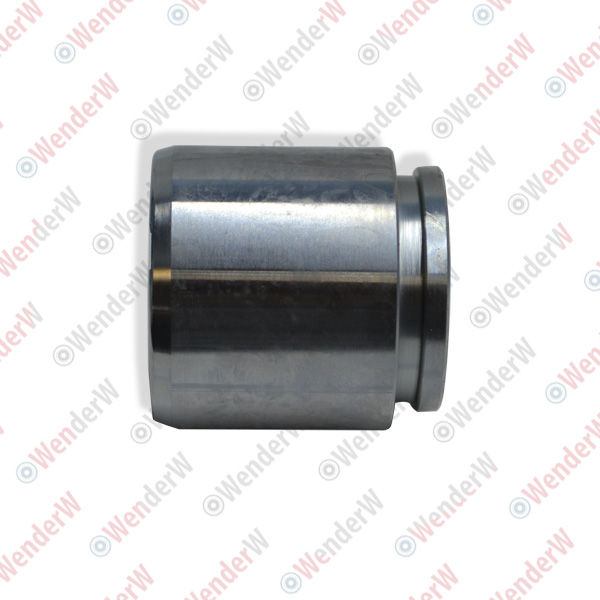 Поршень суппорта тормозного sorento (06-06), h100 (06-16) - WENDERW WE012PC