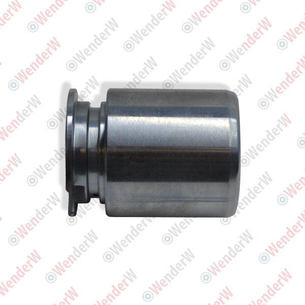 Поршень суппорта тормозного vw beetle (12-16) - WENDERW WE005PC