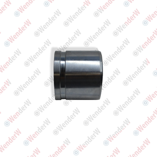 Поршень суппорта тормозного переднего hyundai accent (03-…) - WENDERW WE001PC