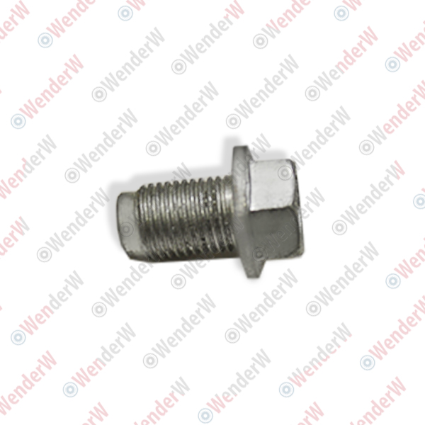 Пробка масляного поддона mitsubishi pajero/montero sport (k9) (97-08) - WENDERW WERR0035
