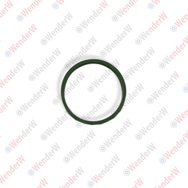 Прокладка впускного коллектора 1,2l audi a1 (10-..), a3 (04-13), skoda fabia (07-15) - WENDERW WERK006