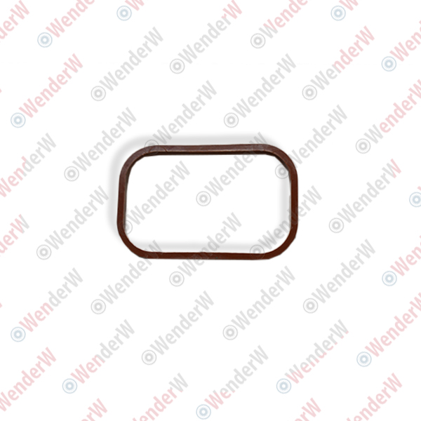 Прокладка впускного коллектора 1,4l audi a1 (10-…), vw tiguan (11-…) - WENDERW WERK009