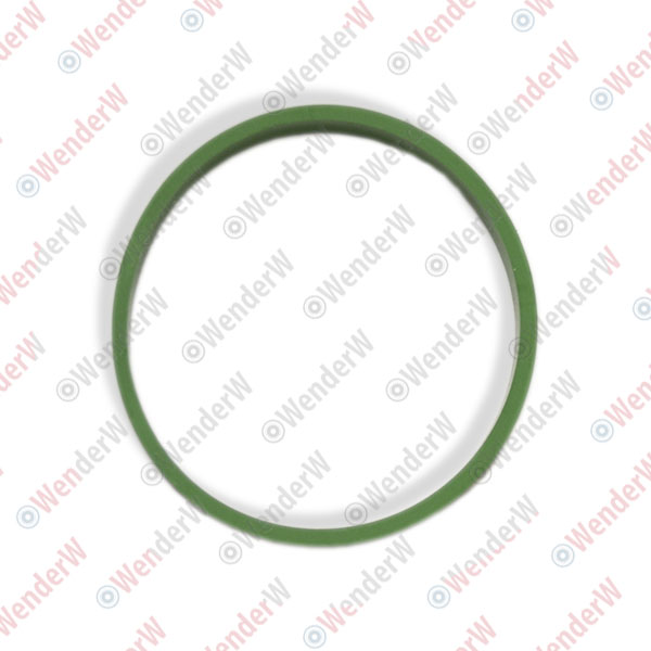 Прокладка впускного коллектора 3,0l audi a6 (04-11), vw touareg (10-…) - WENDERW WERK022
