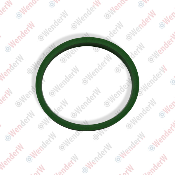Прокладка впускного коллектора 3,2l audi a6 (04-11) - WENDERW WERK020