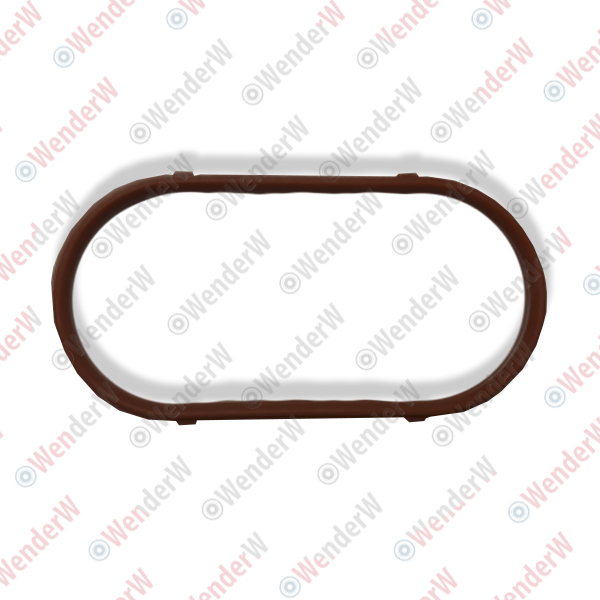 Прокладка впускного коллектора bmw 5 e39 (95-03) - WENDERW WEPR0012