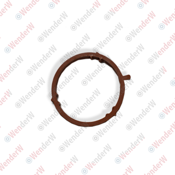 Прокладка впускного коллектора mitsubishi lancer (cx,cy) (07-…) - WENDERW WERK003
