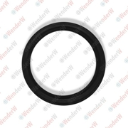 Прокладка клапанной крышки mazda cx-7 (09-..), mazda5 (07-..), mazda6 (02-..) WENDERW WEPR0321