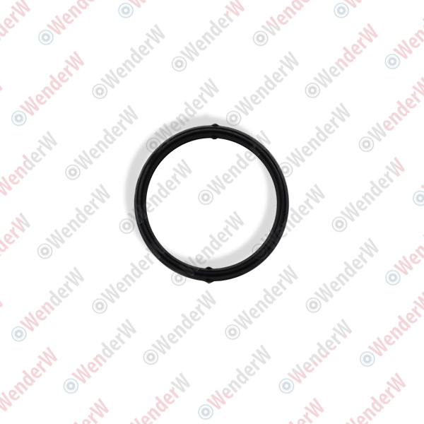 Прокладка масляного насоса ford c-max (03-11) - WENDERW WEPR0497