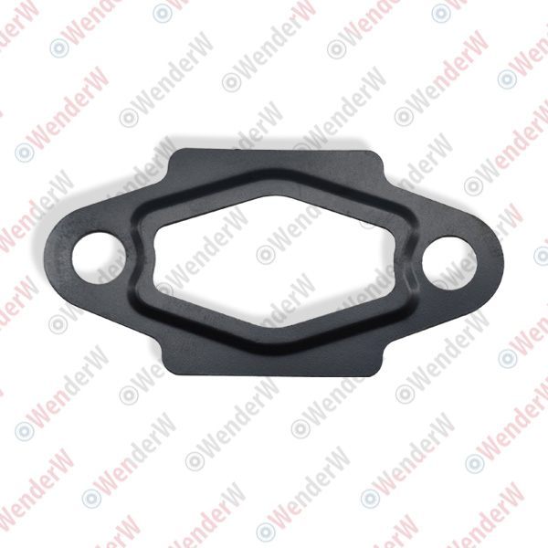 Прокладка насоса водяного nissan 350z (03-09), teana (09-13) - WENDERW WEPR0532