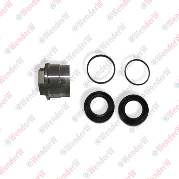 Ремкомплект рулевой рейки nissan teana (08-13) - WENDERW WE0220R