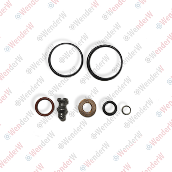 Ремкомплект форсунок топливных audi a4 (00-04), vw golf (99-03) - WENDERW WE0219R