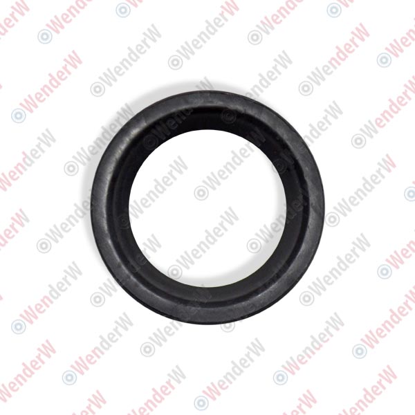 Сальник клапана фаз газораспределения renault megane ii (02-09) - WENDERW WE12227C