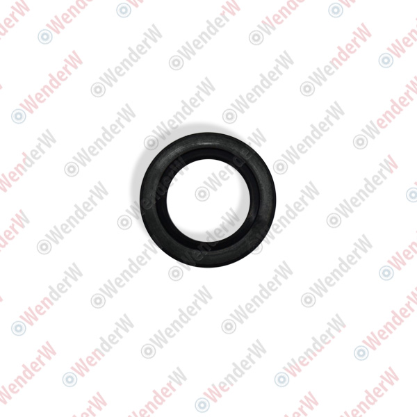 Сальник кпп nissan almera (06-12) - WENDERW WE12219C