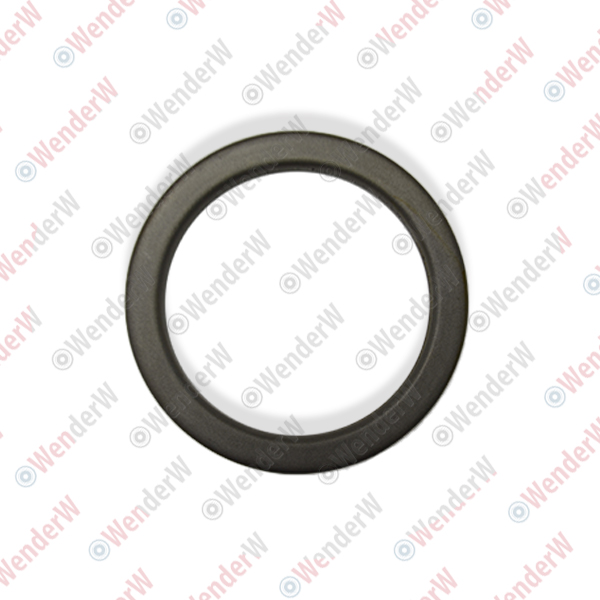 Сальник передней ступицы suzuki grand vitara/escudo jb416/jb420/jb627 (06-14) 63.8x76.05x6.5x10 - WENDERW WE10111C
