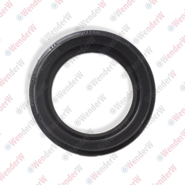 Сальник привода mitsubishi pajero/montero iv (v8, v9) (07-...) 53x80.2x11x18.5 - WENDERW WE10174C