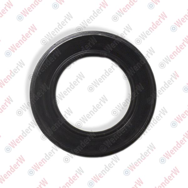 Сальник привода nissan pathfinder r51 (05-14), infiniti qx80/qx56 (z62) (10-...) 36.5x60x10.4x17 - WENDERW WE12021C