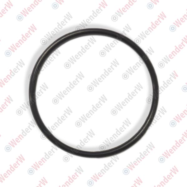 Сальник рейки рулевой nissan teana (06-08) - WENDERW WE12109C