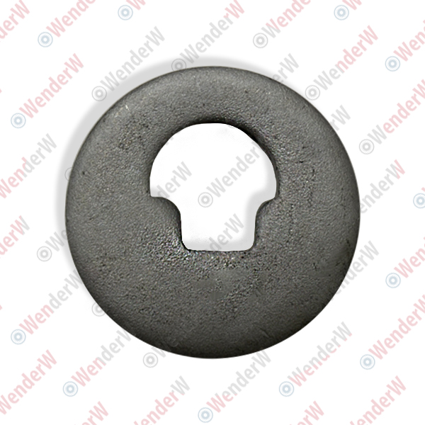 Шайба эксцентриковая bmw 3f80 m3 (14-…), x3 e83 (04-10), z4 e89 (09-16) - WENDERW WEL085