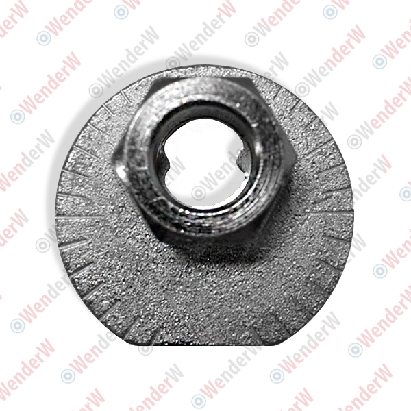 Шайба эксцентриковая lexus gs 300/400/430 (98-04), is200/300 (99-05) - WENDERW WEL089