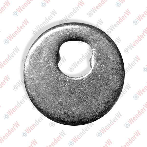 Шайба эксцентриковая lexus gs300/430 (98-04), sc430 (01-10) - WENDERW WEL090