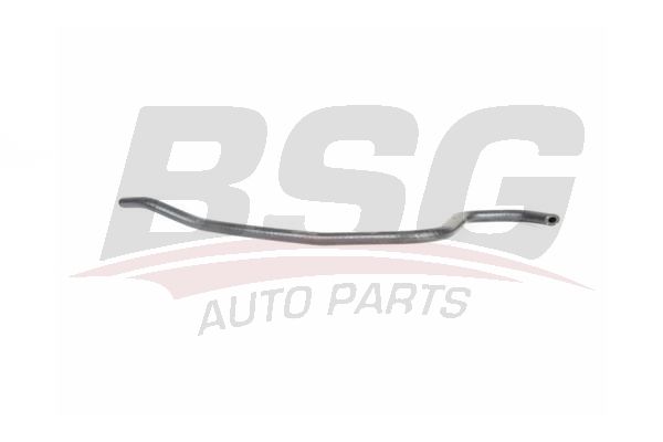 Шланг отвода газов из расширительного бачка  / opel Astra-H 1.6/1.8 xe,xe1,xep 04~ - BSG BSG65720166