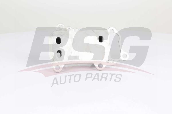 Радиатор масляный двигателя-теплообменник / BMW 1,3,5,x1,x3 N47 (e81,82,87,88,90,91,92,93,60,61,84,83) 05~13 - BSG BSG 15-506-021