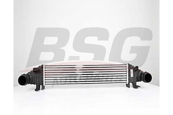 Интеркулер - BSG BSG 60-535-009