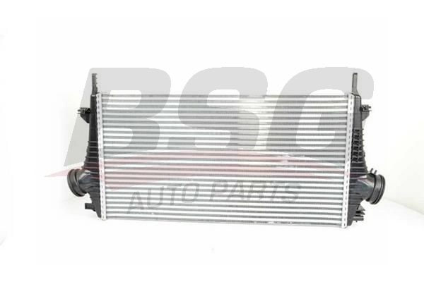 BSG 65-535-002 Запчасть BSG