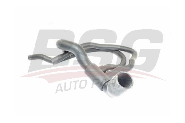 BSG 65-720-209 Запчасть BSG
