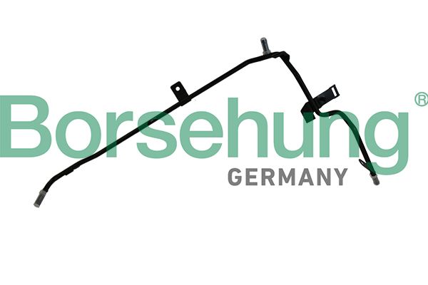 B19219 Запчасть Borsehung