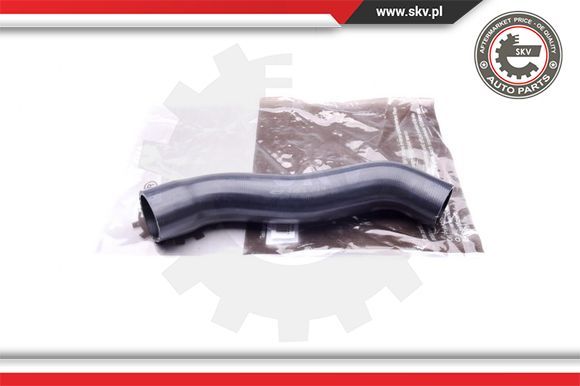 43SKV079 Запчасть ESEN SKV