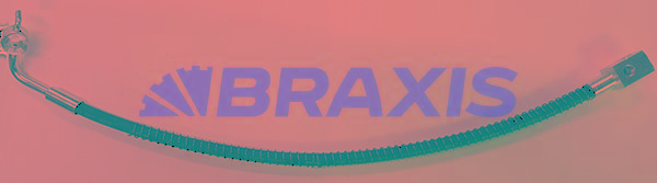Шланг тормозной задний левый - BRAXIS AH0775