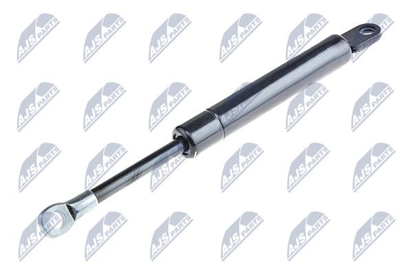 Деталь-, l=205mm, f=800n BMW 3 E46 00-07 /cabrio/ - NTY AE-BM-039