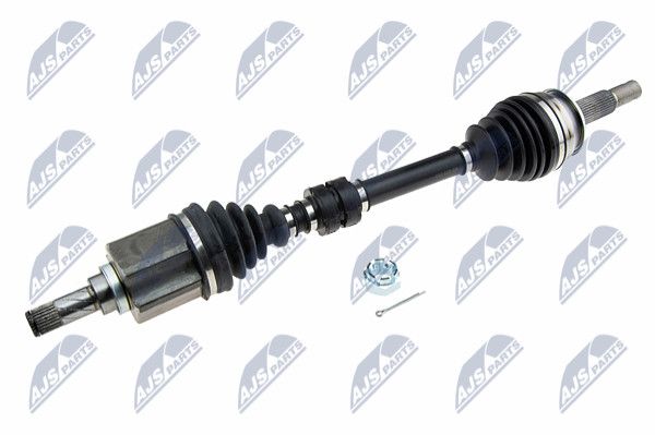 | лев | - NTY NPW-NS-072