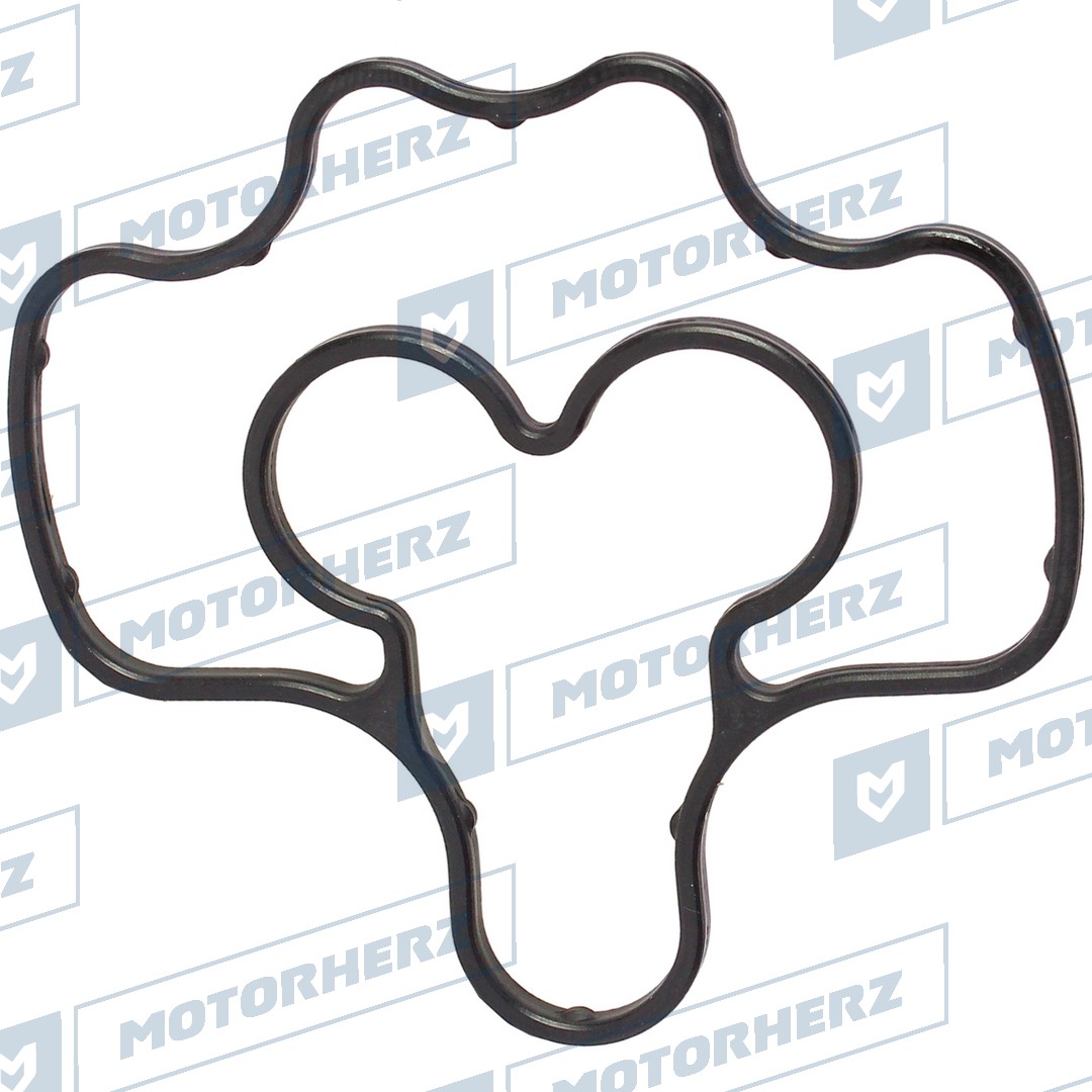 Прокладка насоса эгур - Motorherz HEG3078GP3