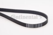 Ремень поликлиновой 6 PK 2260 MV - CONTINENTAL 6PK2260