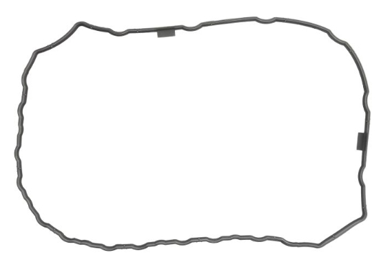 Прокладка клапанной крышки Renault Trucks DCi 6a/w (5010553654) - Lema 2080663