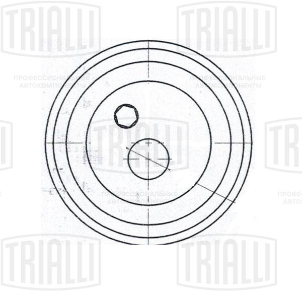 Ролик натяжной ГРМ - Trialli CM 6096