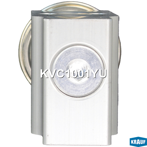 Клапан кондиционера расширительный