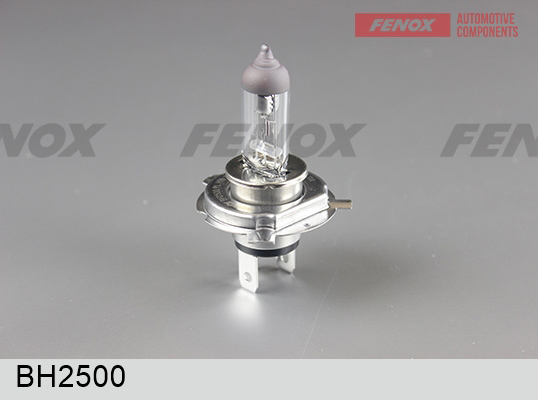 Лампа H19 12V 60/55w - Fenox BH2500
