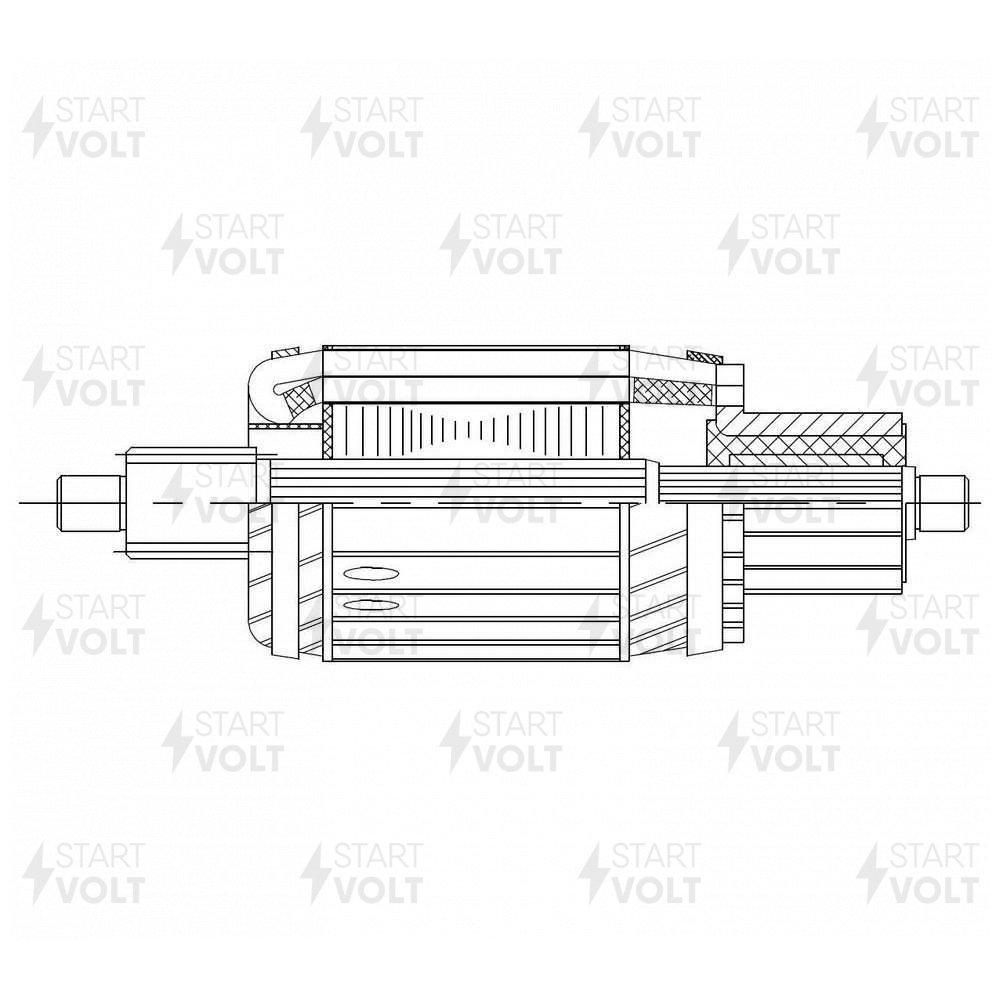 HCV