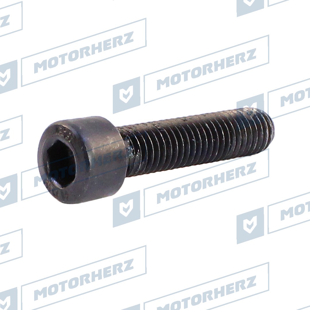 Болт рулевого агрегата - Motorherz HLL00596