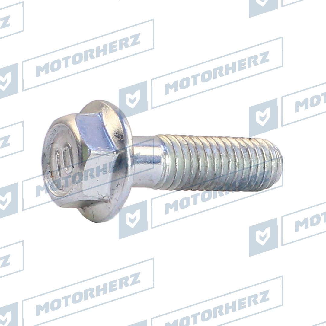 Болт рулевого агрегата - Motorherz HLL00593