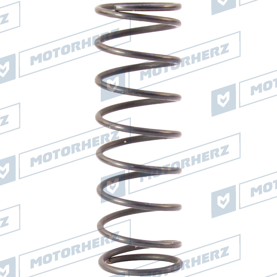 Пружина - Motorherz HLL00576