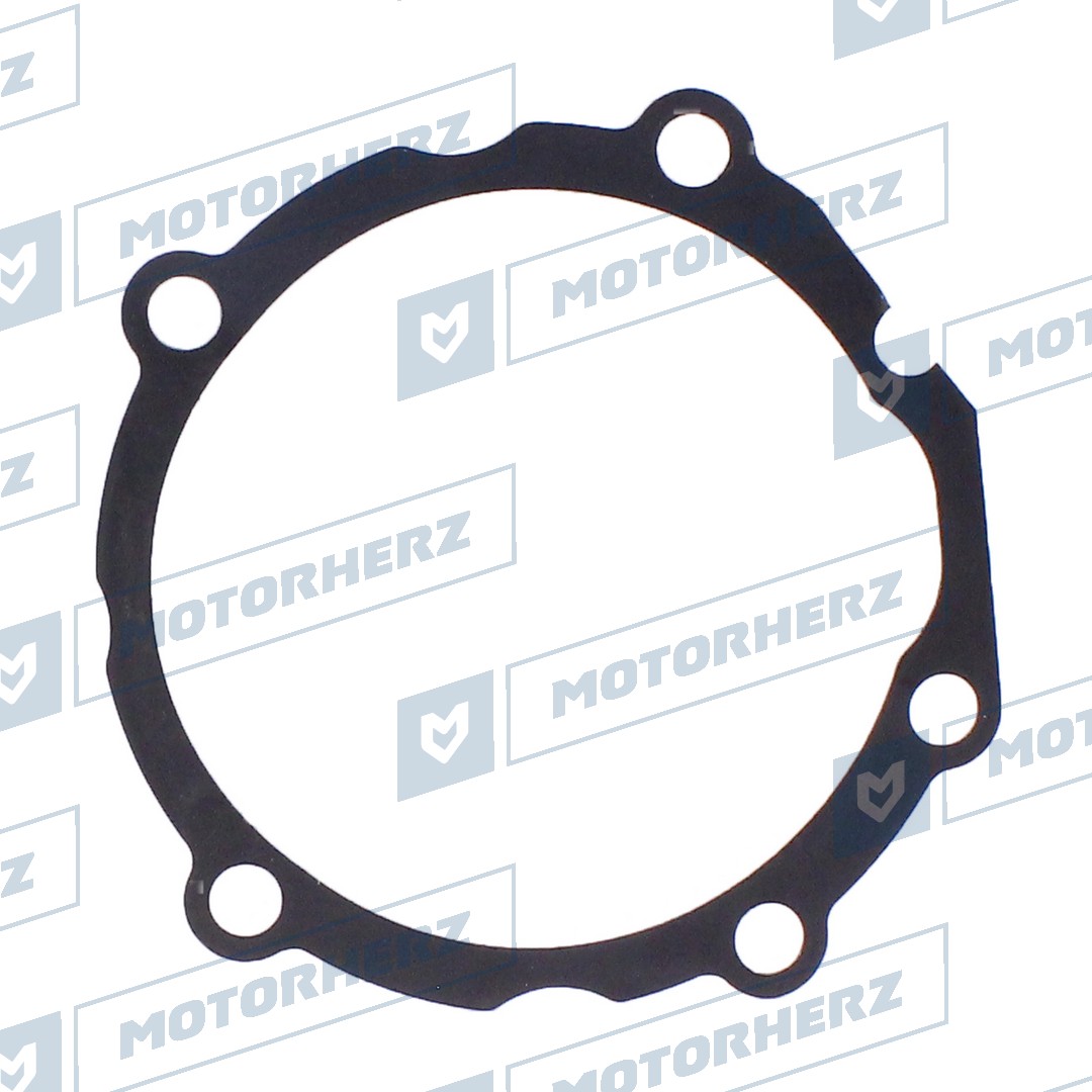 Прокладка насоса ГУР - Motorherz HPP0044HGP